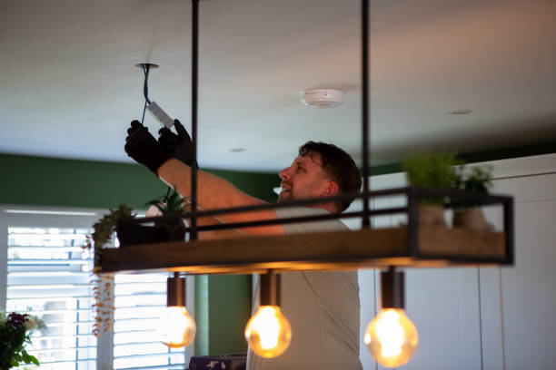 Best Electric Panel Repair  in Whitehall, WI